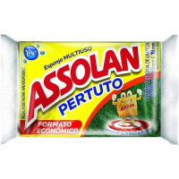 imagem de Esponja Multiuso Assolan Pertuto 1un