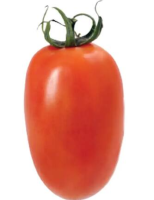 imagem de Tomate Italiano  18kg