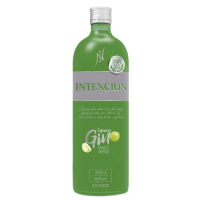 imagem de Gin Sabor Maçã Verde Intencion 900ml