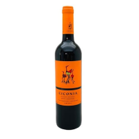 imagem de Vinho Português Tinto Alentejo Ciconia Garrafa 750ml